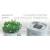 Aseptica Green w domu i biurze