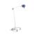 Lampa Ordisi L21-25R