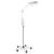 Lampa Primaled